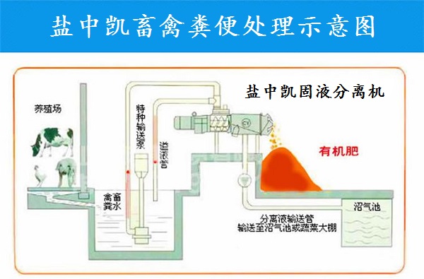 水蜜桃在线视频免费网站