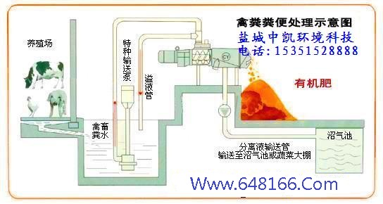 水蜜桃在线视频免费网站示意图